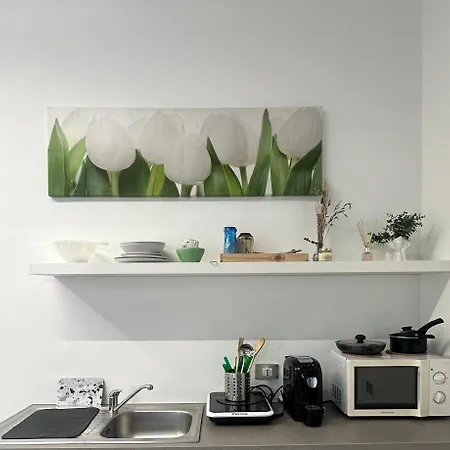 Vigevano Studios Apartment